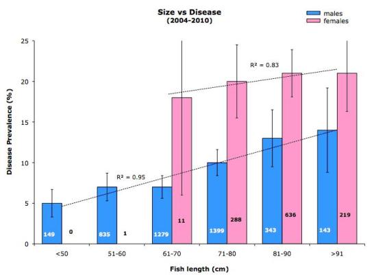 Size vs Disease 2004 - 2010