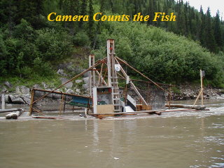Rapids Wheel 2007r Rapids Wheel 2007r